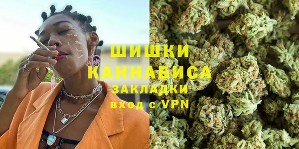 прущие грибы Баксан