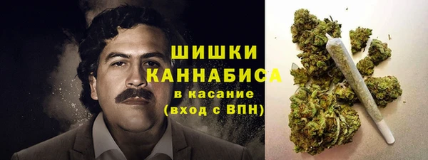 прущие грибы Баксан