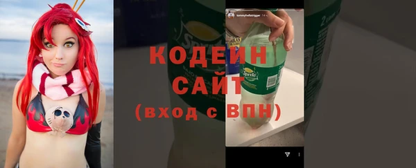 стаф Аркадак