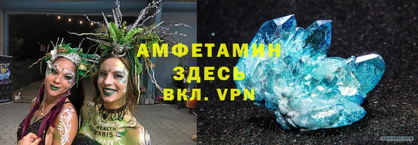 стаф Аркадак