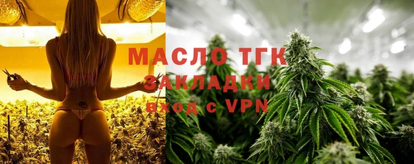 стаф Аркадак