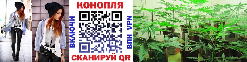Канабис MAZAR Иланский
